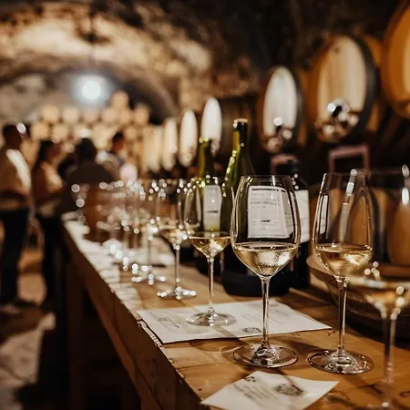 Weinberg Idyllische Ruhe, Nahe Den Weinbergen Daire *