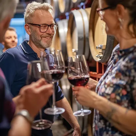 Daire Weinberg Idyllische Ruhe, Nahe Den Weinbergen *