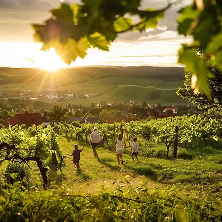 Daire Weinberg Idyllische Ruhe, Nahe Den Weinbergen Traben-Trarbach