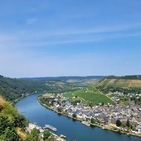 Weinberg Idyllische Ruhe, Nahe Den Weinbergen Traben-Trarbach