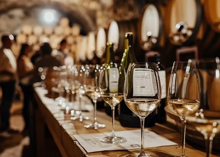 Weinberg Idyllische Ruhe, Nahe Den Weinbergen Appartamento *